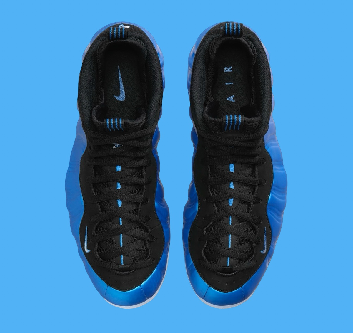 Nike Air Foamposite One Royal 2024 FQ8181511