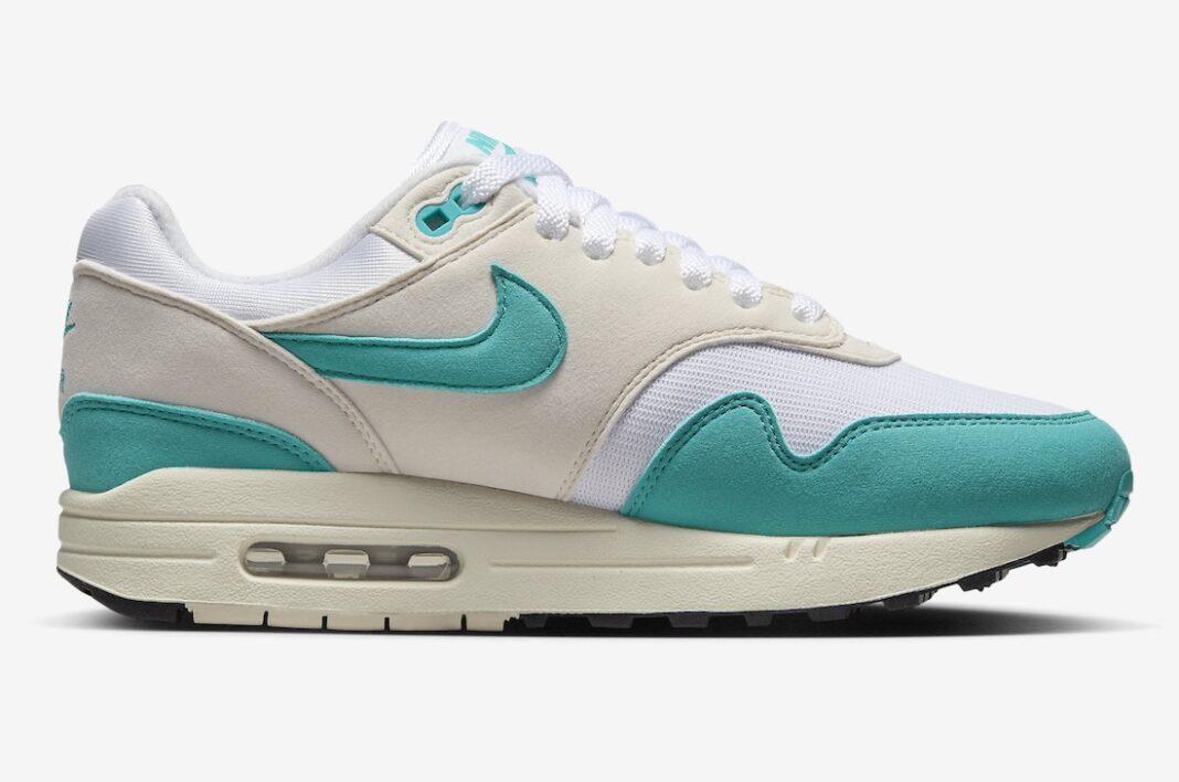 dusty cactus air max