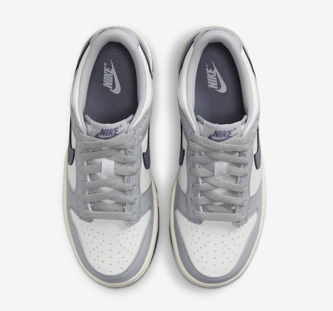 Nike Dunk Low GS Platinum Tint FB9109-101