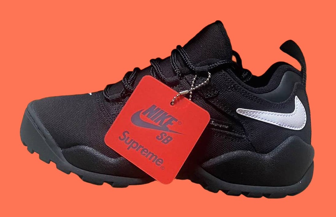 Supreme Nike SB Darwin Low Black FQ3000 001