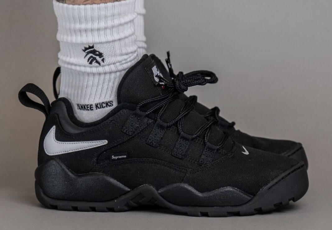 Supreme Nike SB Darwin Low Black On Feet 1068x742
