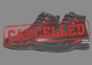 Air Jordan 12 Bloodline CT8013-060