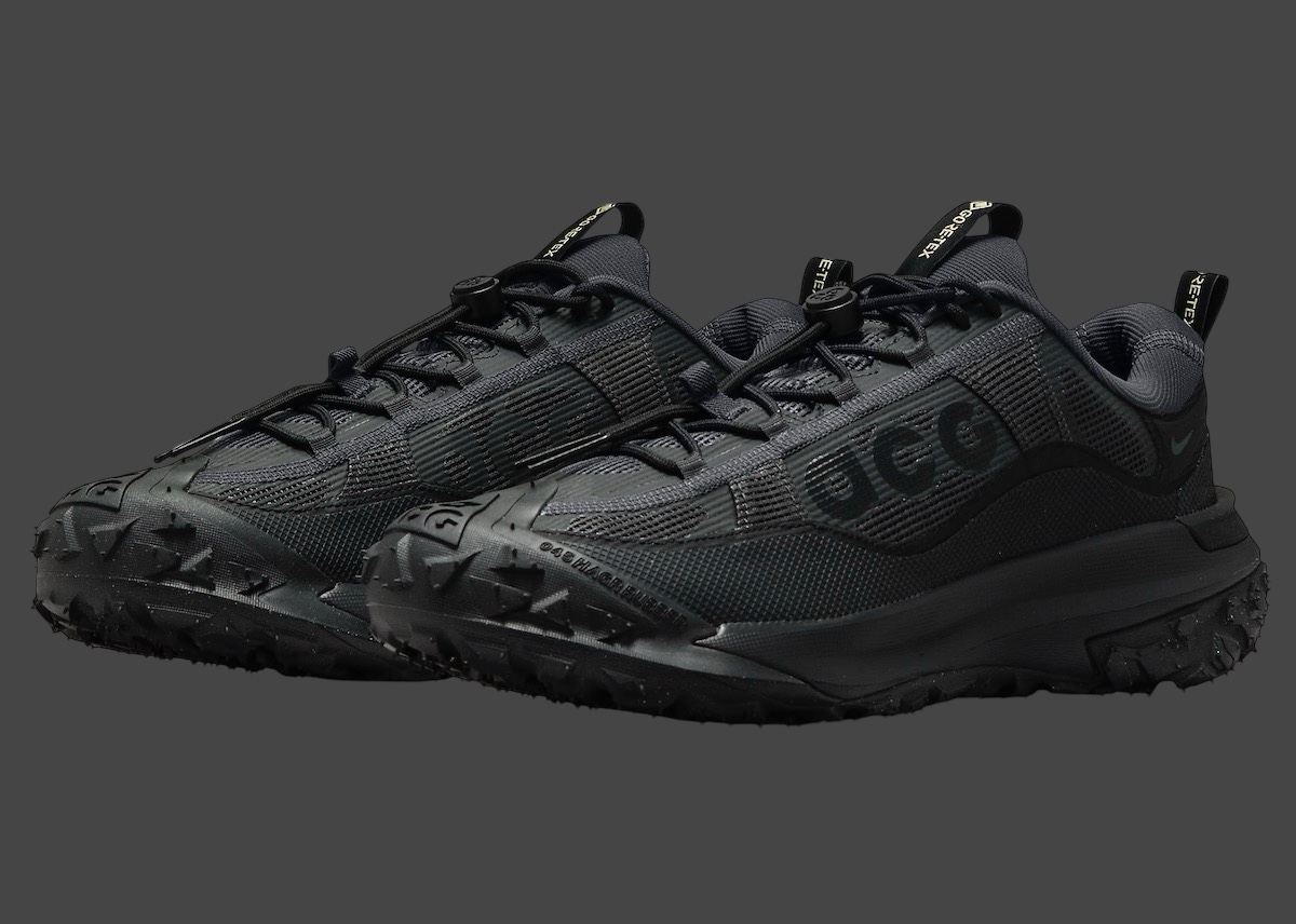 Nike ACG Mountain Fly 2 Low Dark Smoke Grey Black HF6245 001