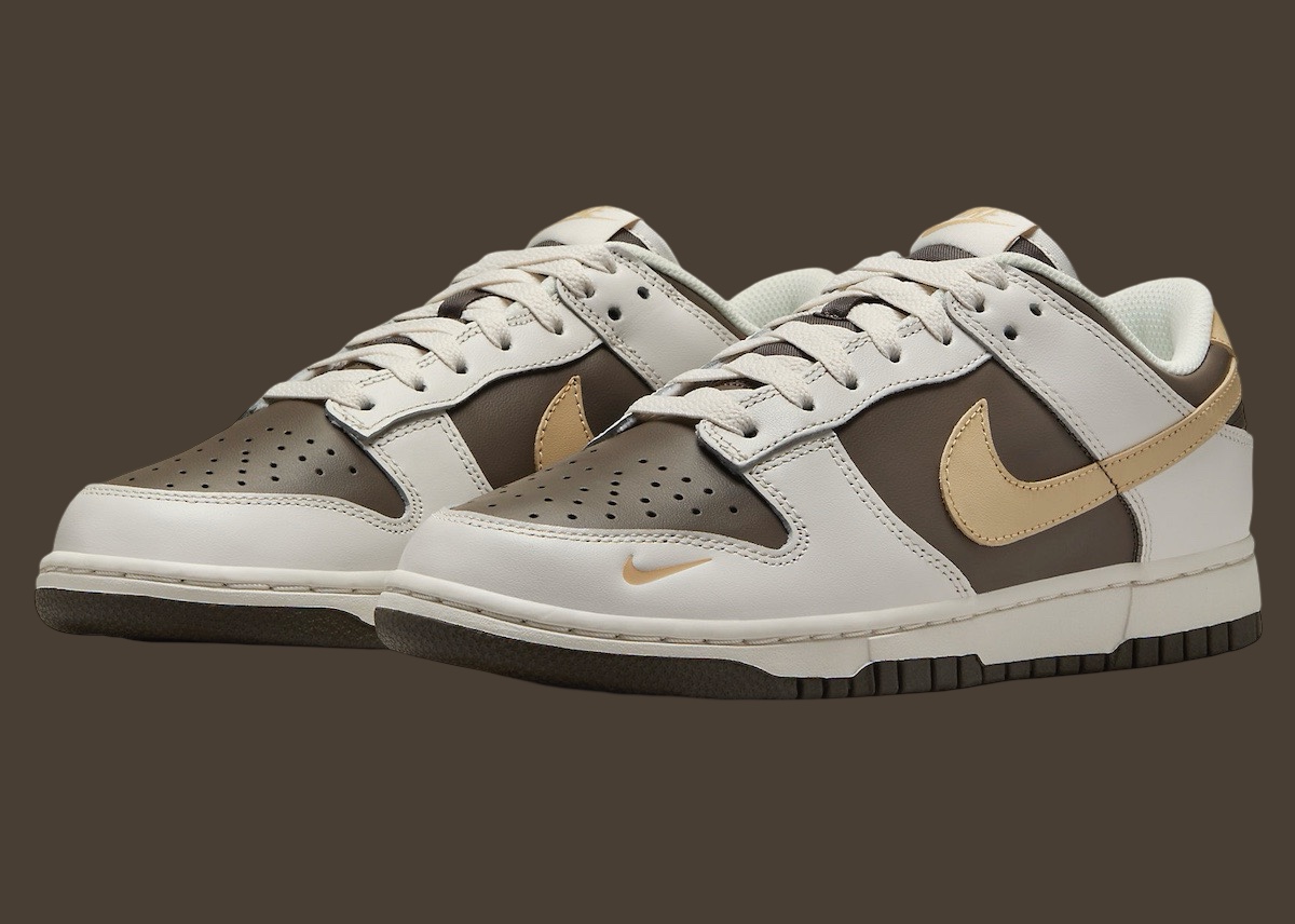 Nike Dunk Low Sesame Ironstone HM9655 001