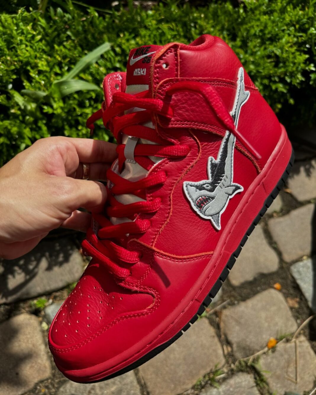 sb dunk oski