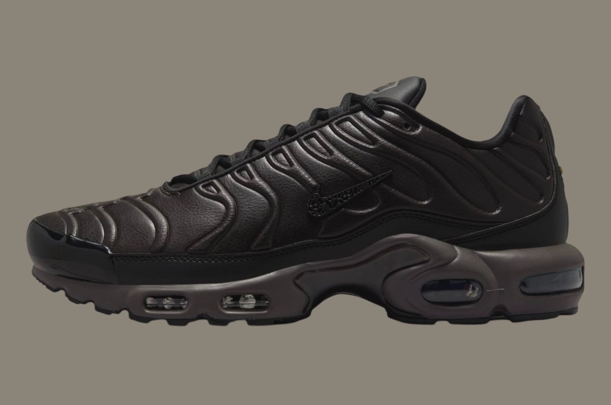 Nike Air Max Plus Black Tea HJ4519 200