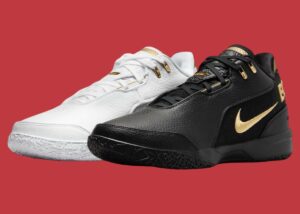 Nike LeBron NXXT Gen AMPD Equity FJ1566-103