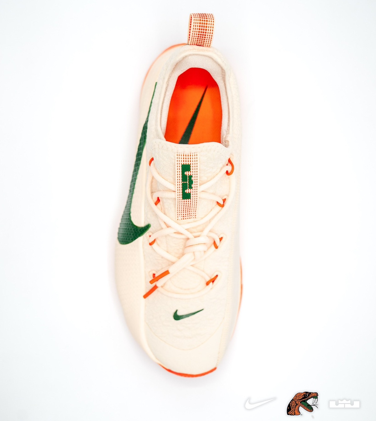 Nike LeBron TR 1 FAMU PE 1