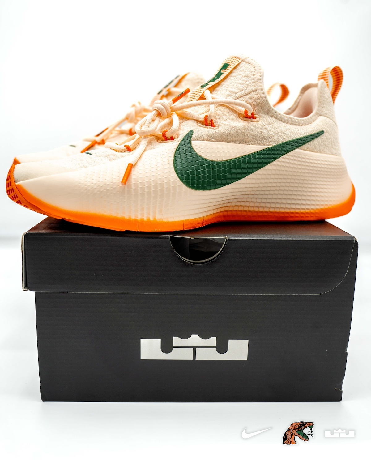 Nike LeBron TR 1 FAMU PE 2