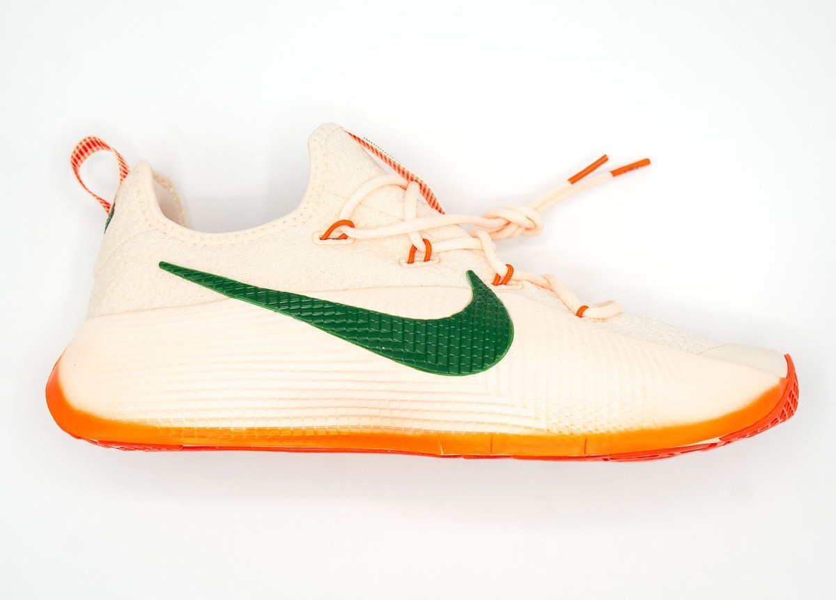 Nike LeBron TR 1 FAMU PE