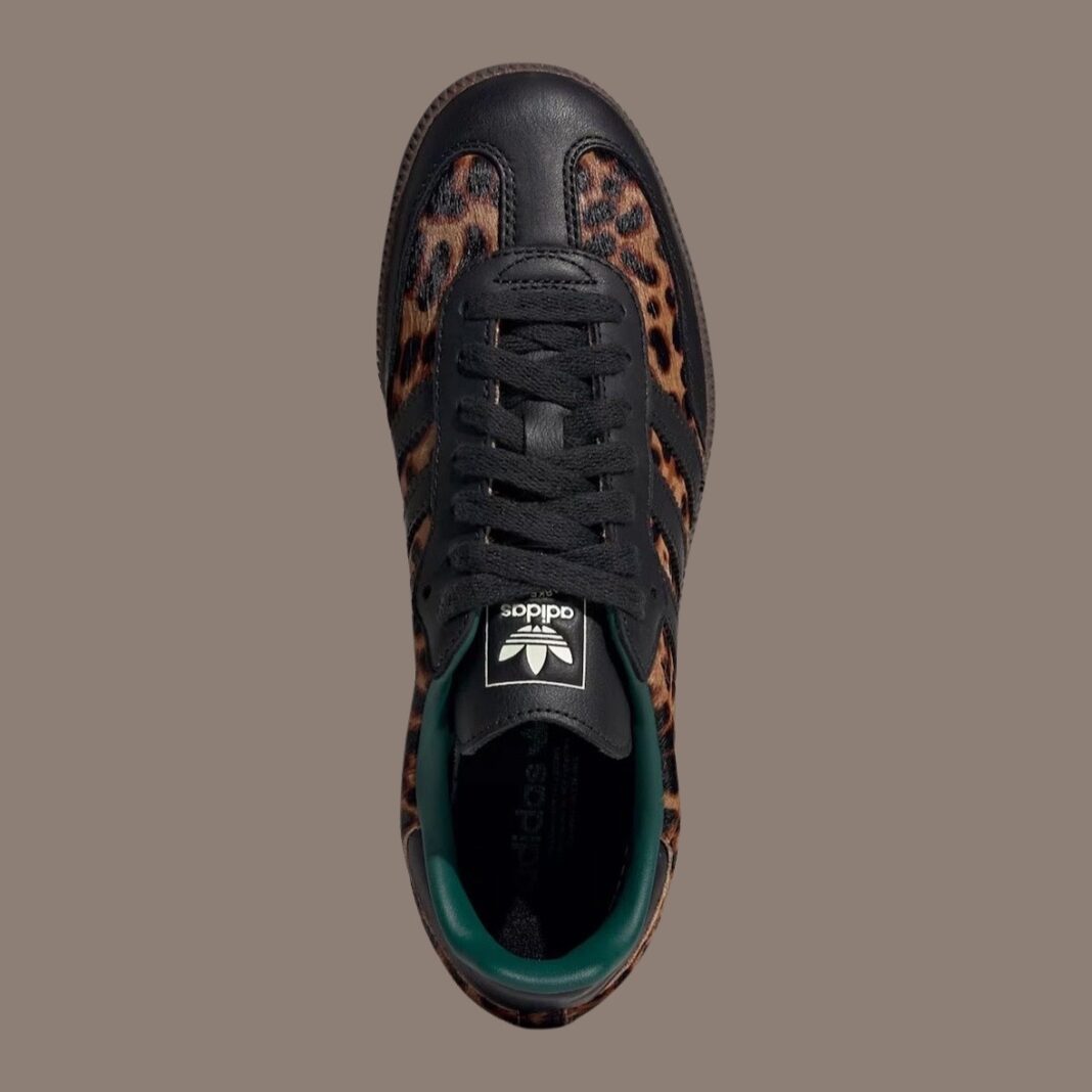 Adidas samba leopard pack