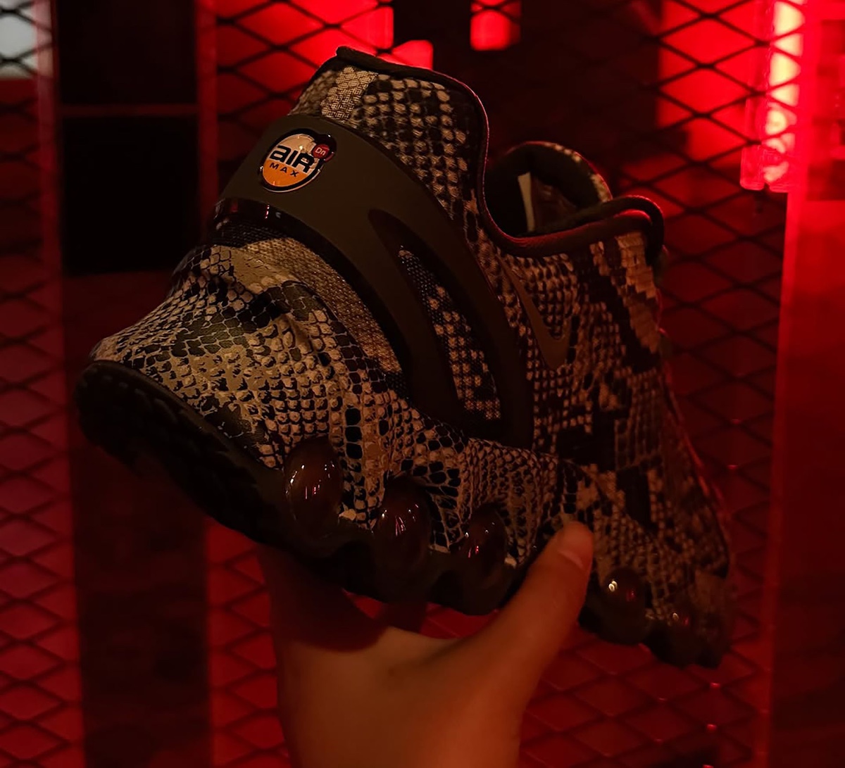 Rear view of the Nike Air Max Dn8 Snakeskin with Air Max logo on the heel and snakeskin wrap.