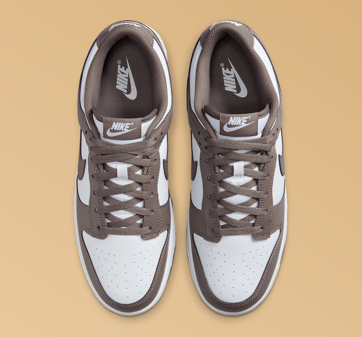 Top-down view displaying the Nike branding on the tongue and classic Dunk lacing