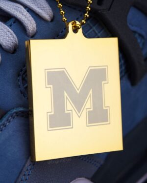 Air Jordan 4 Michigan PE 2025
