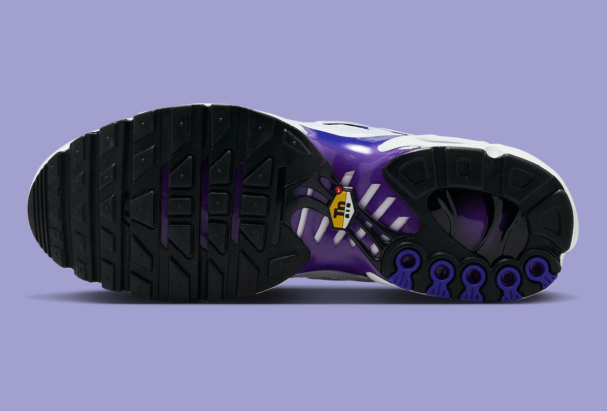 Nike Air Max Plus White Wild Grape DM0032-105