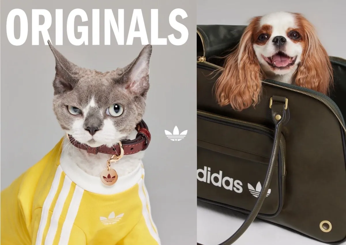 adidas Originals Pet Collection Releases May 2025