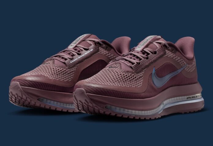 nike-pegasus-premium-tattoo-hq2593-502-3