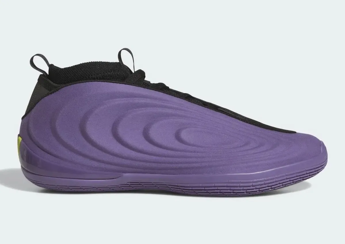 adidas Harden Vol. 10 Covered in Matte Purple