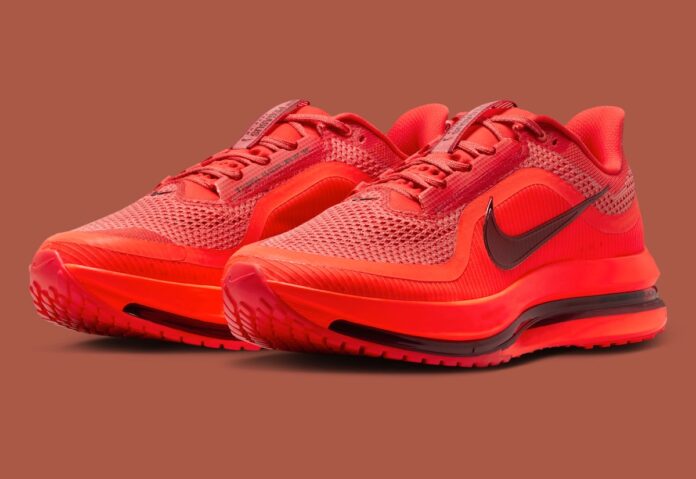 nike-pegasus-premium-light-crimson-hq2592-601-2