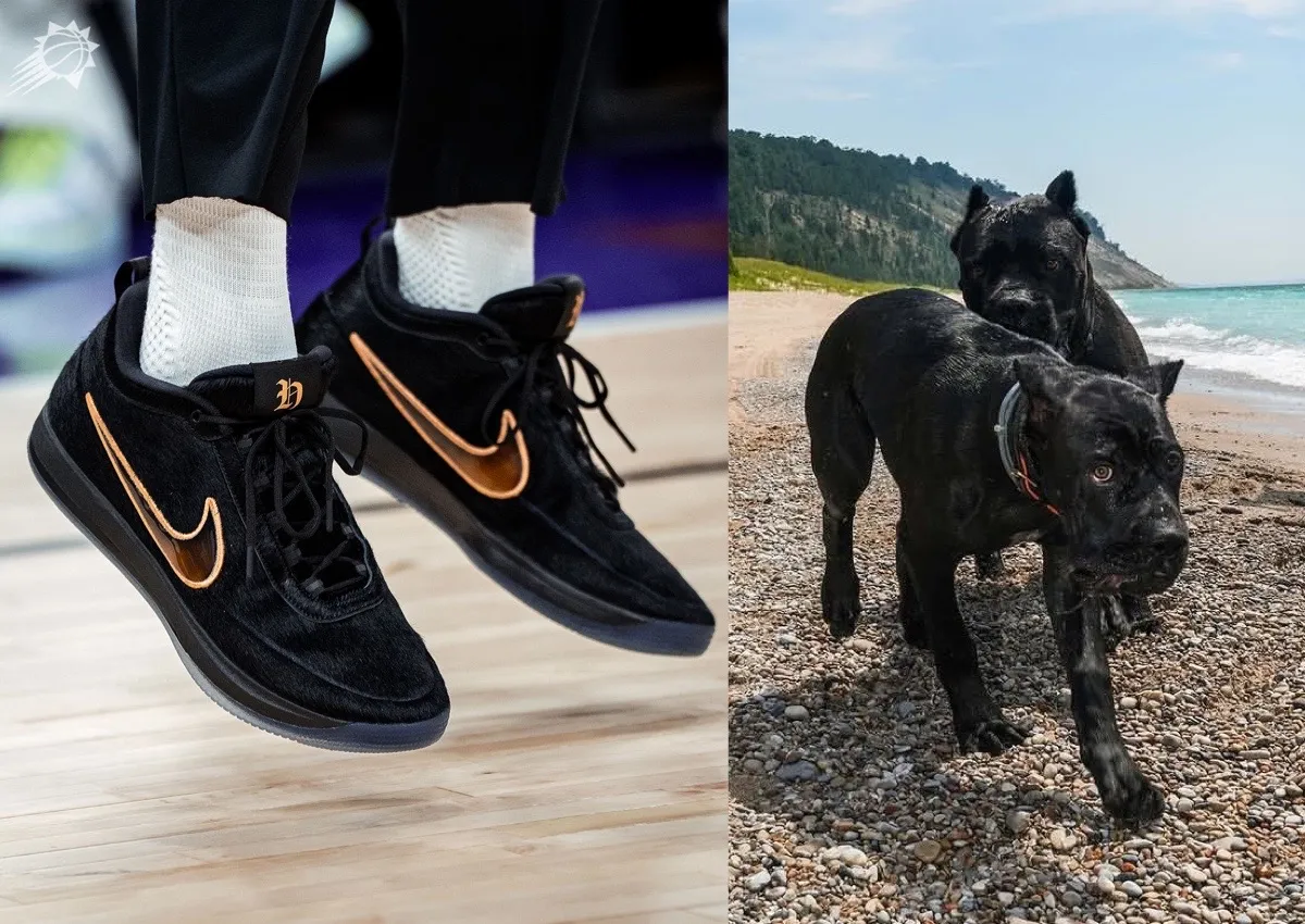 Nike Book 2 “Haven and Hector” Releases May 2026