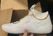 First Look at the Nike LeBron 24