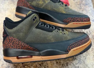 Air Jordan 3 “Not Nice” Detailed Look