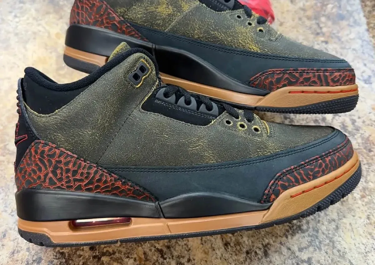 Air Jordan 3 “Not Nice” Detailed Look