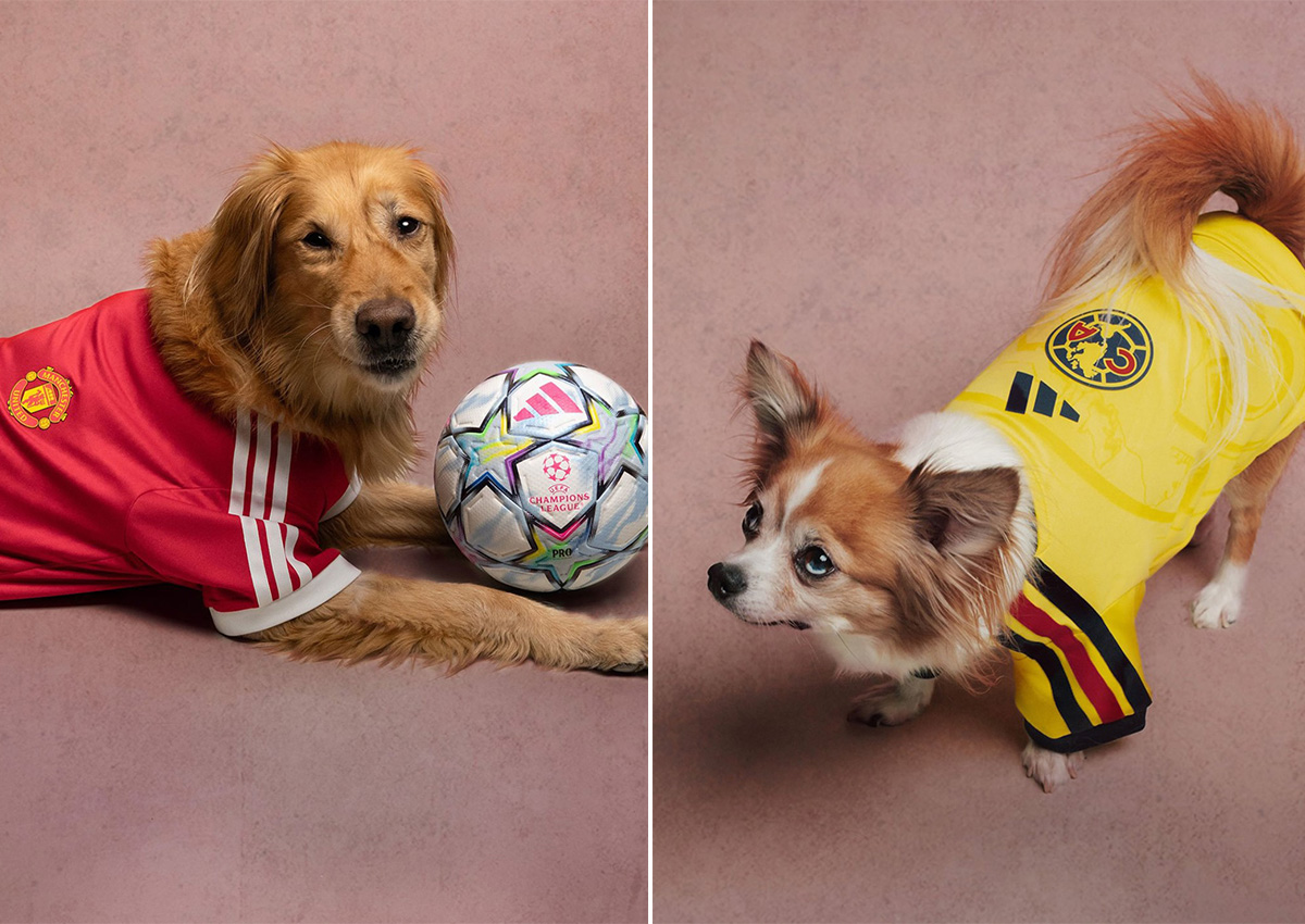 adidas Makes Manchester United and Arsenal Jerseys for Pets