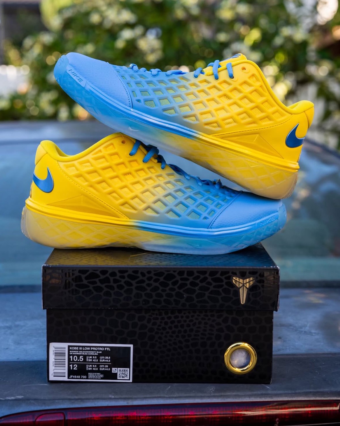 Nike Kobe 3 Low Protro "The Shaw" in Midwest Gold and University Blue, displayed from multiple angles showing the gradient heel-to-toe color transition inspired by Crenshaw High School. - detail view 2