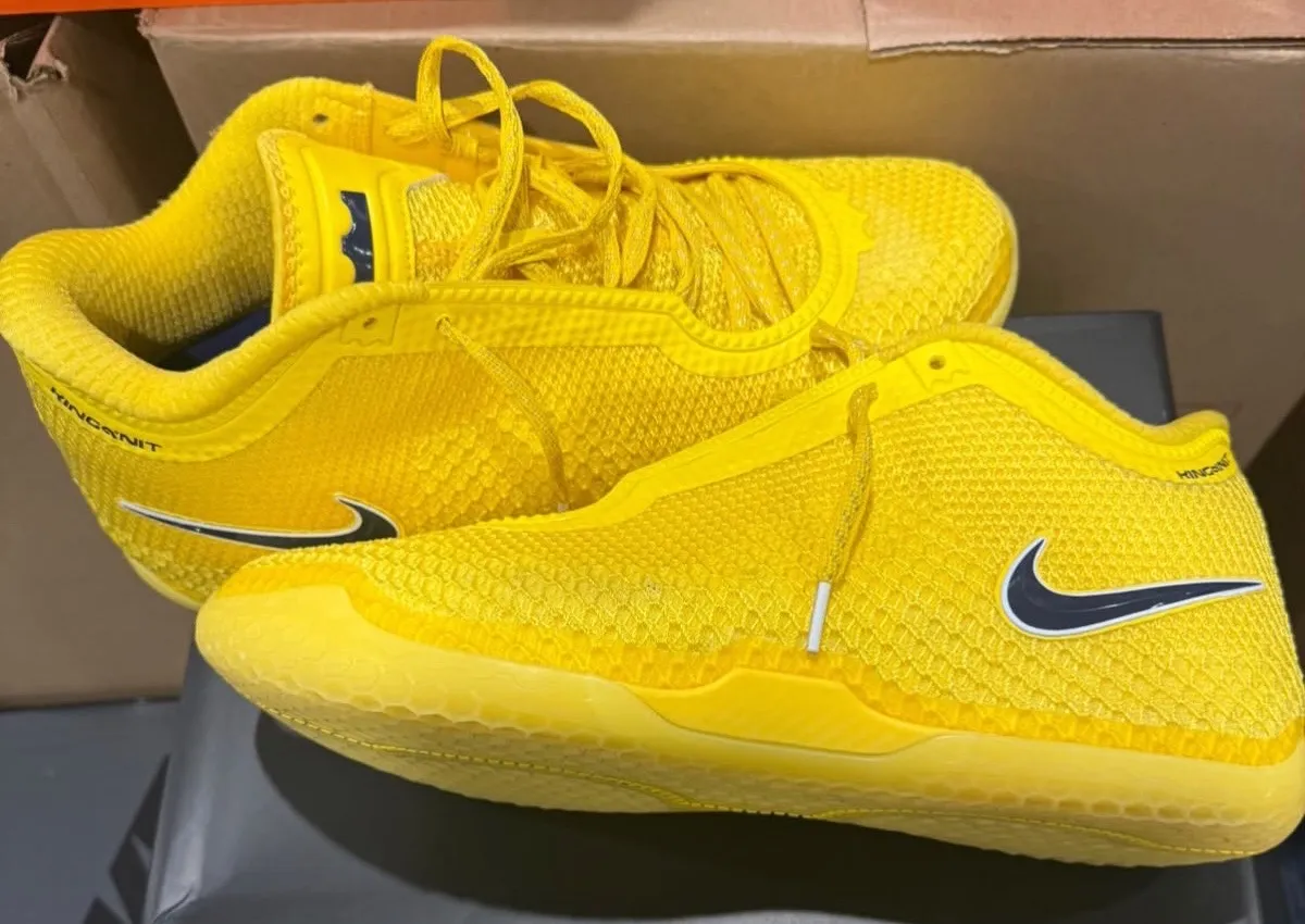 Nike LeBron 24 “Chosen 1s” Releases December 2026